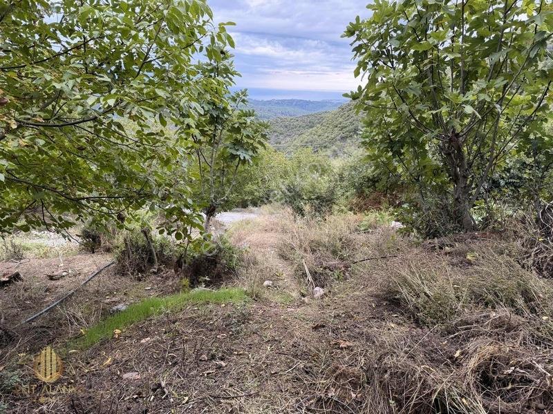 Yola 2. Parsel Full Deniz Manzaralı Masrafsız Kelepir Tarla — fotoğraf 8