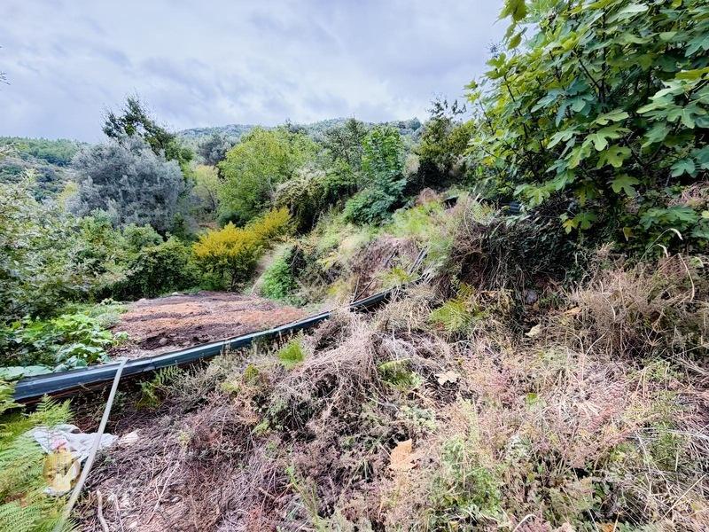 Yola 2. Parsel Full Deniz Manzaralı Masrafsız Kelepir Tarla — fotoğraf 10