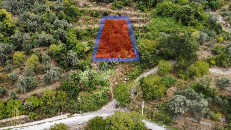 Yola 2. Parsel Full Deniz Manzaralı Masrafsız Kelepir Tarla — fotoğraf 13