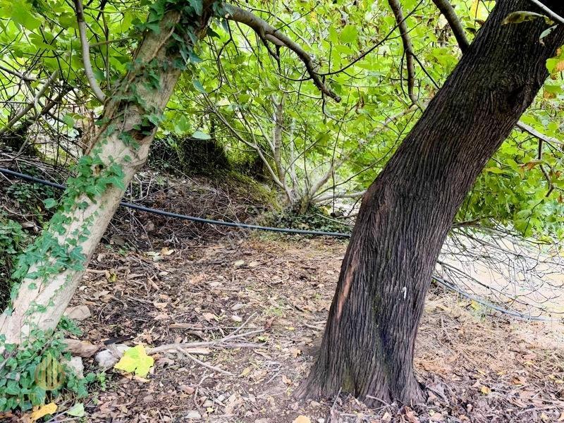 Yola 2. Parsel Full Deniz Manzaralı Masrafsız Kelepir Tarla — fotoğraf 15