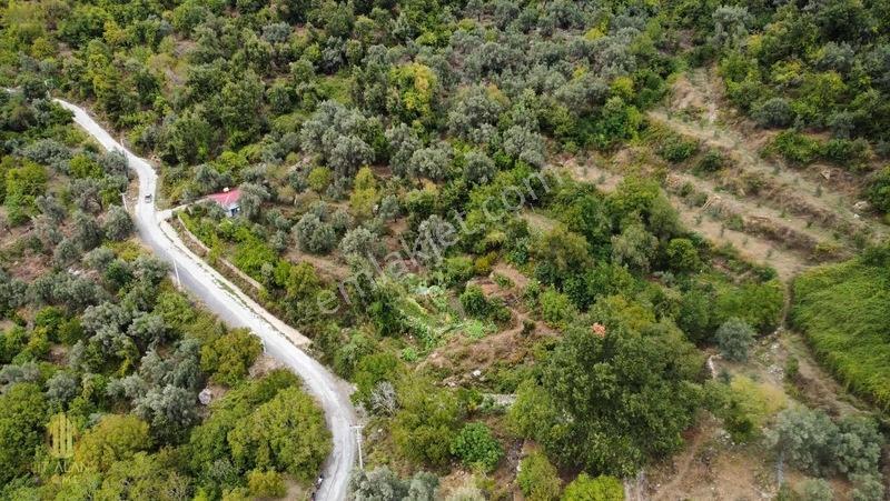 Yola 2. Parsel Full Deniz Manzaralı Masrafsız Kelepir Tarla — fotoğraf 16