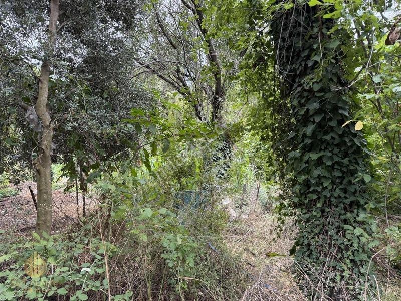 Yola 2. Parsel Full Deniz Manzaralı Masrafsız Kelepir Tarla — fotoğraf 17