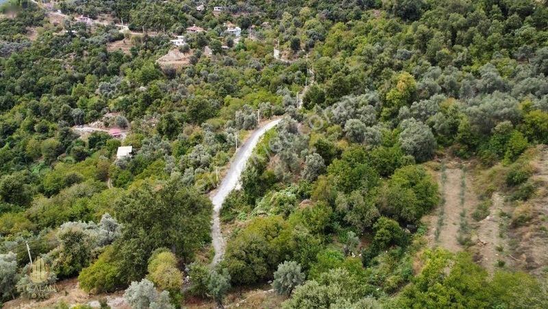 Yola 2. Parsel Full Deniz Manzaralı Masrafsız Kelepir Tarla — fotoğraf 18