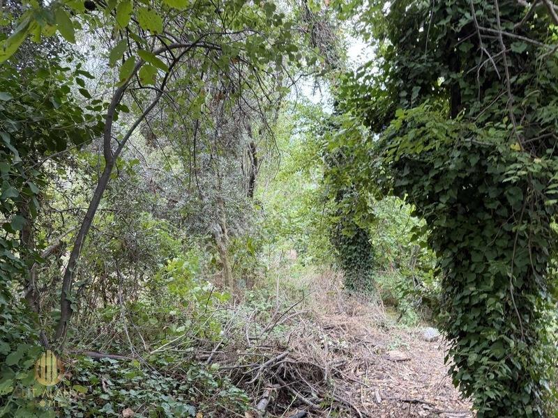 Yola 2. Parsel Full Deniz Manzaralı Masrafsız Kelepir Tarla — fotoğraf 19