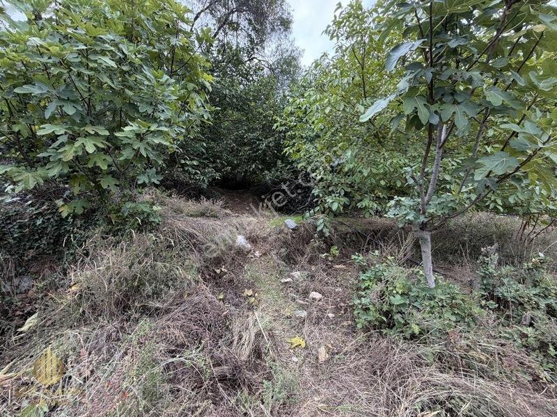 Yola 2. Parsel Full Deniz Manzaralı Masrafsız Kelepir Tarla — fotoğraf 23