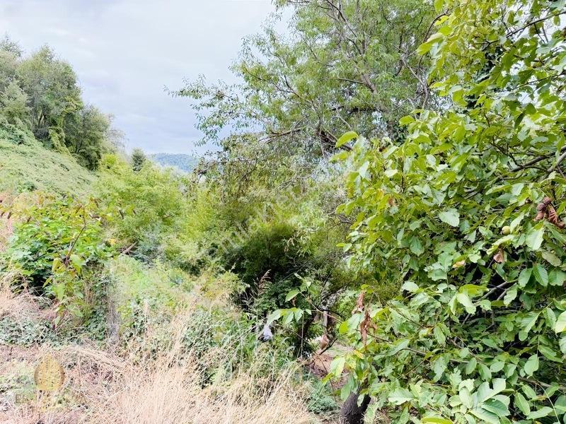 Yola 2. Parsel Full Deniz Manzaralı Masrafsız Kelepir Tarla — fotoğraf 25
