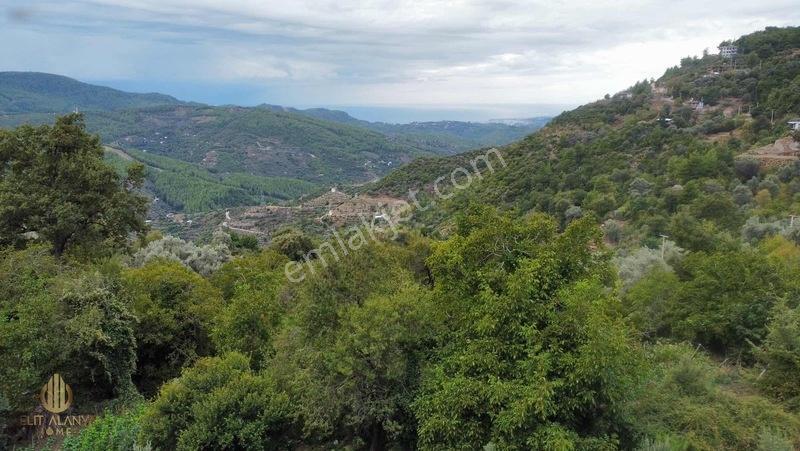 Yola 2. Parsel Full Deniz Manzaralı Masrafsız Kelepir Tarla — fotoğraf 26