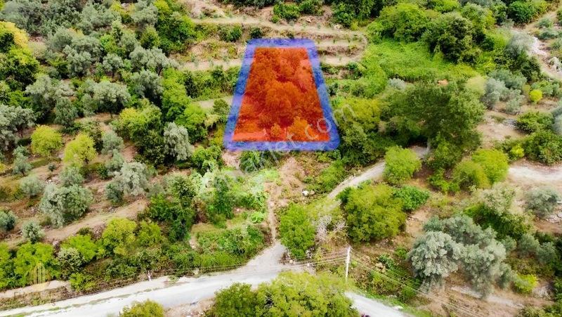 Yola 2. Parsel Full Deniz Manzaralı Masrafsız Kelepir Tarla — fotoğraf 29