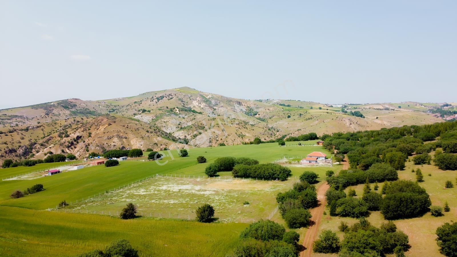***karapürçek Te Manzaralı Yol Kenarı Hisse Tapulu Bahçe*** — fotoğraf 2