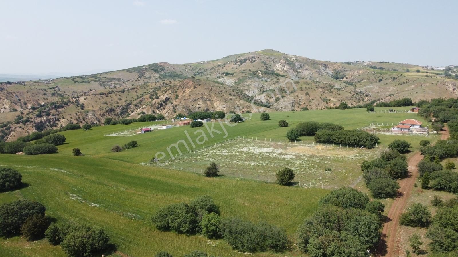 ***karapürçek Te Manzaralı Yol Kenarı Hisse Tapulu Bahçe*** — fotoğraf 3