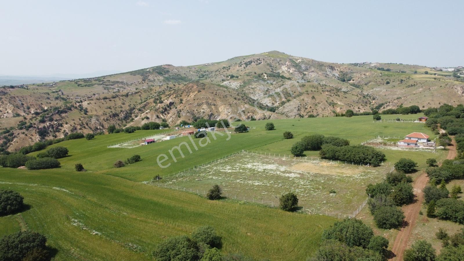 ***karapürçek Te Manzaralı Yol Kenarı Hisse Tapulu Bahçe*** — fotoğraf 4