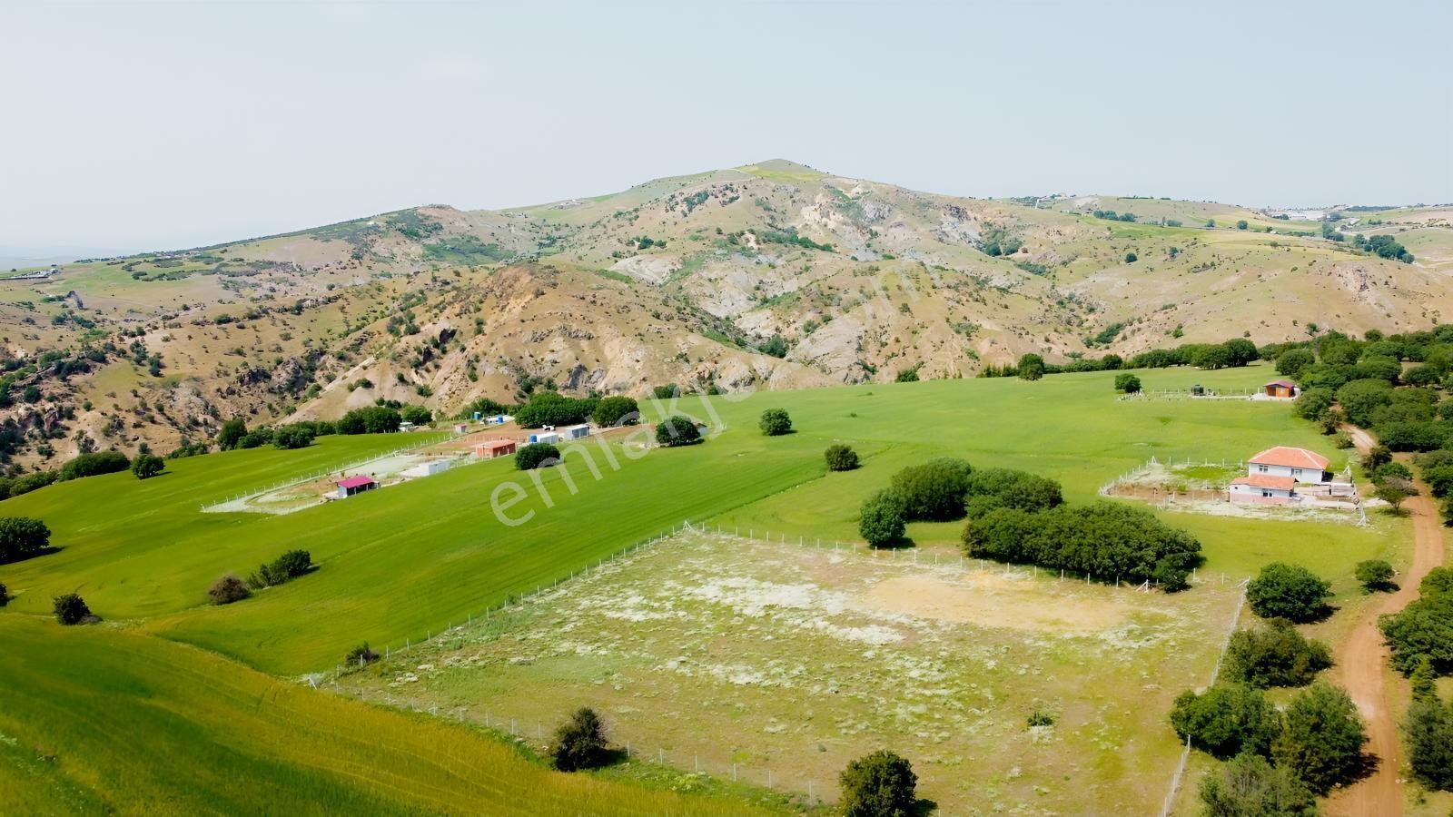 ***karapürçek Te Manzaralı Yol Kenarı Hisse Tapulu Bahçe*** — fotoğraf 5