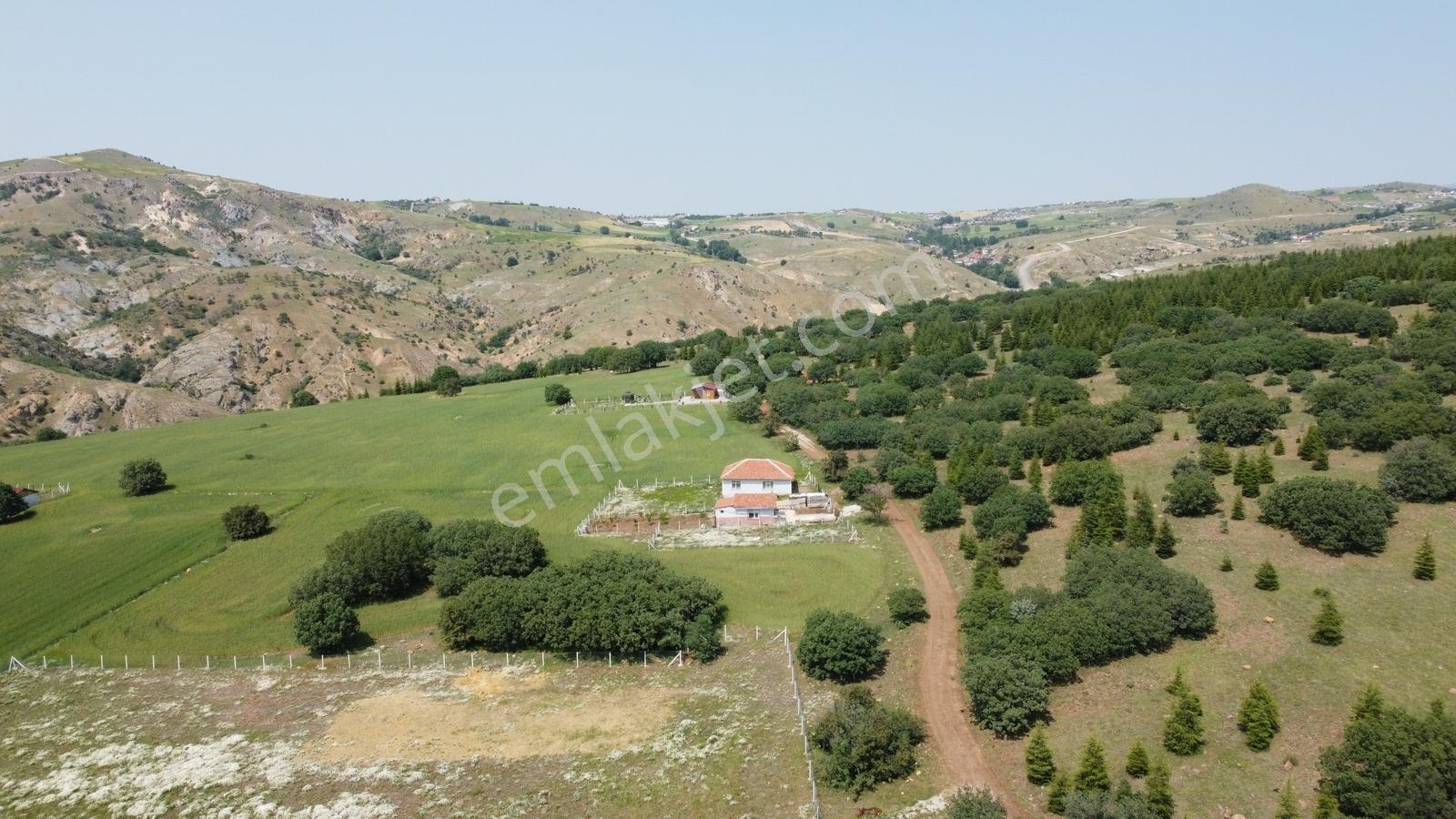 ***karapürçek Te Manzaralı Yol Kenarı Hisse Tapulu Bahçe*** — fotoğraf 6