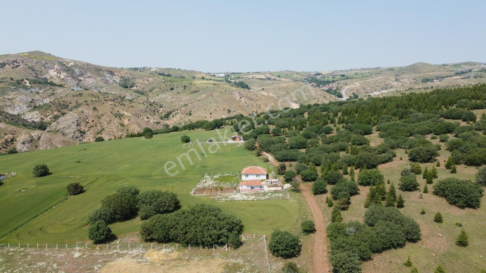 ***karapürçek Te Manzaralı Yol Kenarı Hisse Tapulu Bahçe*** — fotoğraf 7