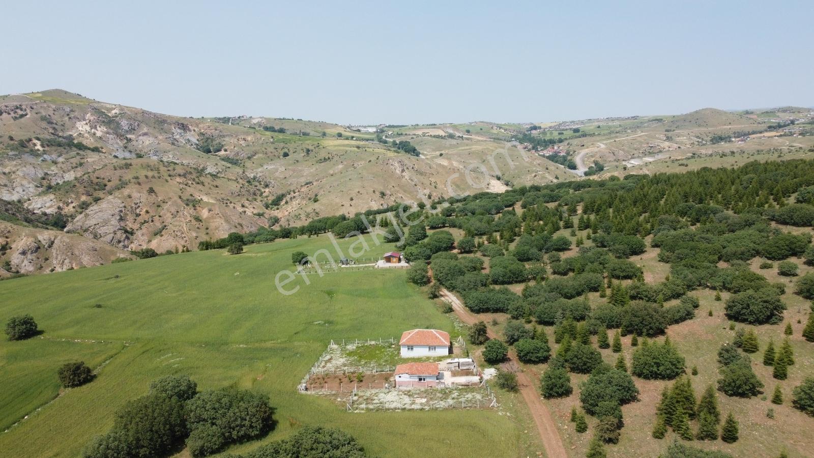 ***karapürçek Te Manzaralı Yol Kenarı Hisse Tapulu Bahçe*** — fotoğraf 8