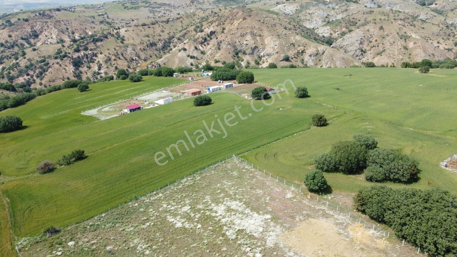 ***karapürçek Te Manzaralı Yol Kenarı Hisse Tapulu Bahçe*** — fotoğraf 9