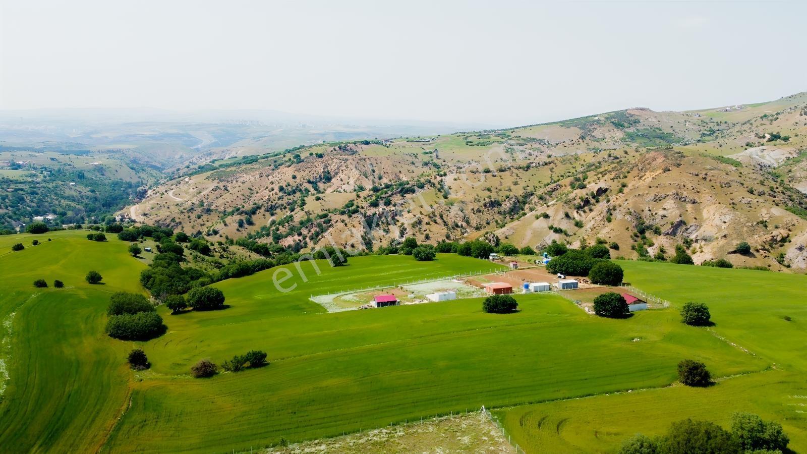 ***karapürçek Te Manzaralı Yol Kenarı Hisse Tapulu Bahçe*** — fotoğraf 10