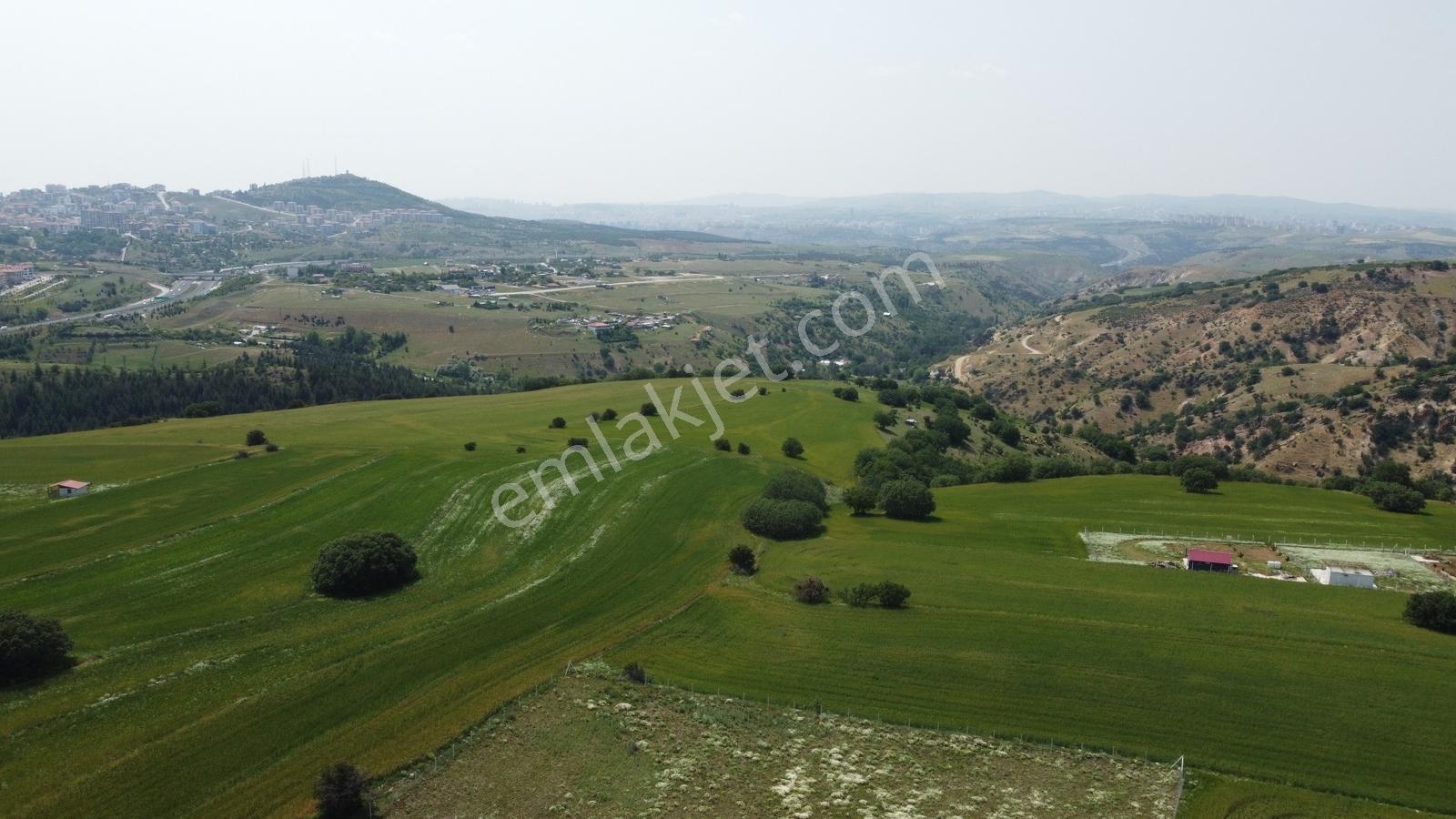***karapürçek Te Manzaralı Yol Kenarı Hisse Tapulu Bahçe*** — fotoğraf 11