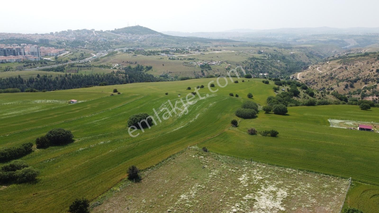 ***karapürçek Te Manzaralı Yol Kenarı Hisse Tapulu Bahçe*** — fotoğraf 12