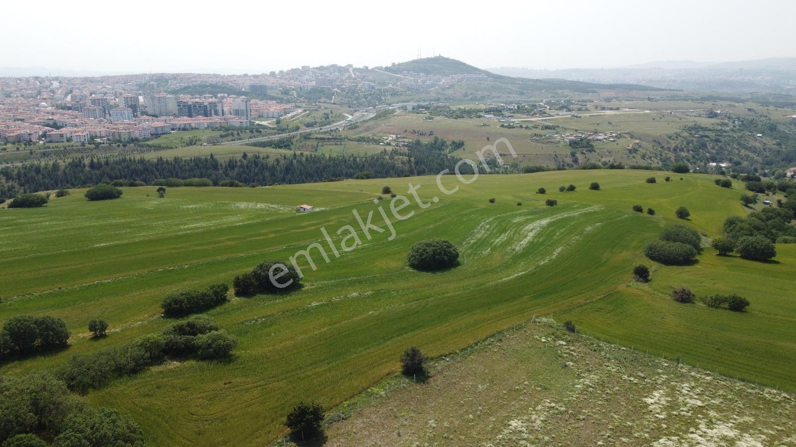 ***karapürçek Te Manzaralı Yol Kenarı Hisse Tapulu Bahçe*** — fotoğraf 13