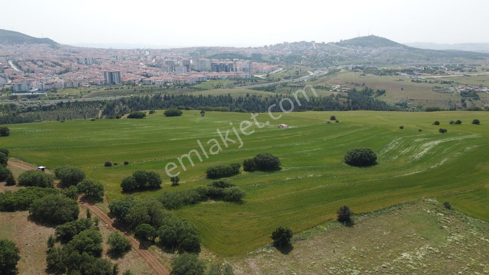 ***karapürçek Te Manzaralı Yol Kenarı Hisse Tapulu Bahçe*** — fotoğraf 14