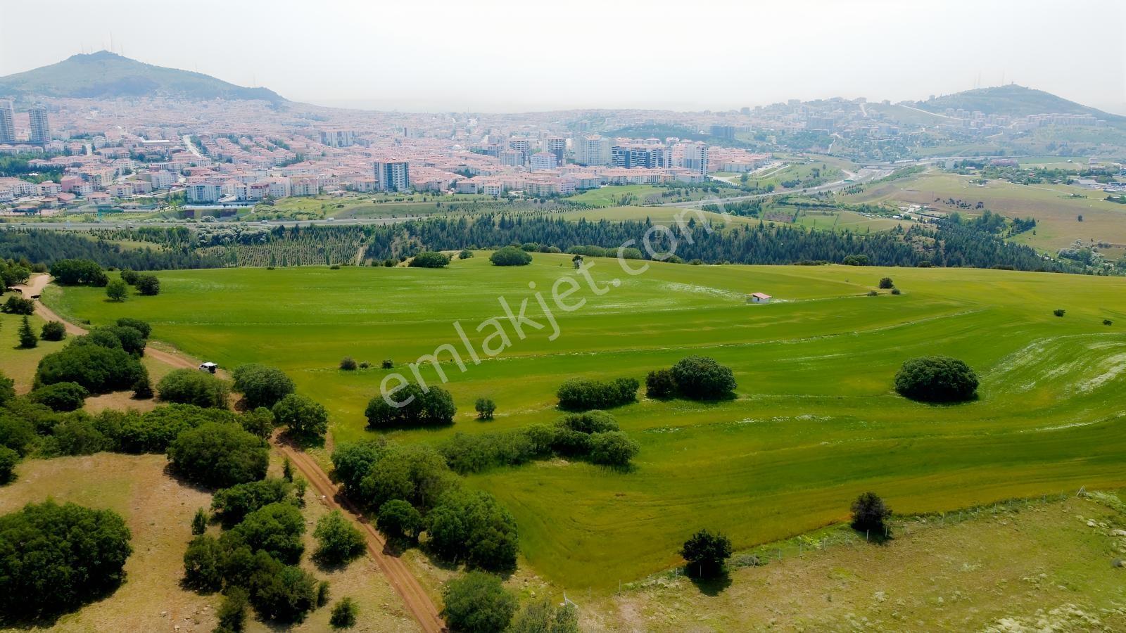 ***karapürçek Te Manzaralı Yol Kenarı Hisse Tapulu Bahçe*** — fotoğraf 15