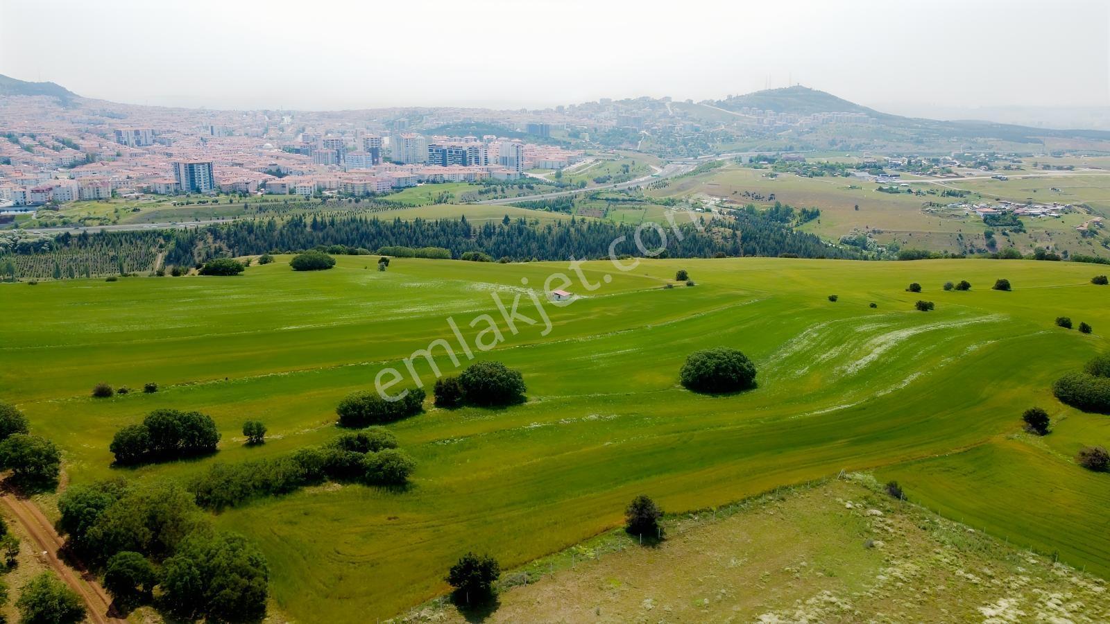 ***karapürçek Te Manzaralı Yol Kenarı Hisse Tapulu Bahçe*** — fotoğraf 16