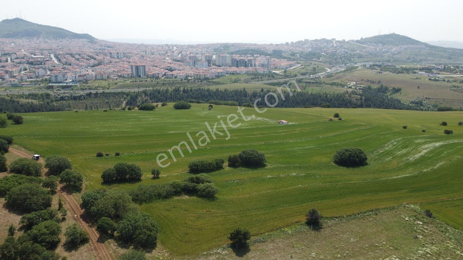 ***karapürçek Te Manzaralı Yol Kenarı Hisse Tapulu Bahçe*** — fotoğraf 17