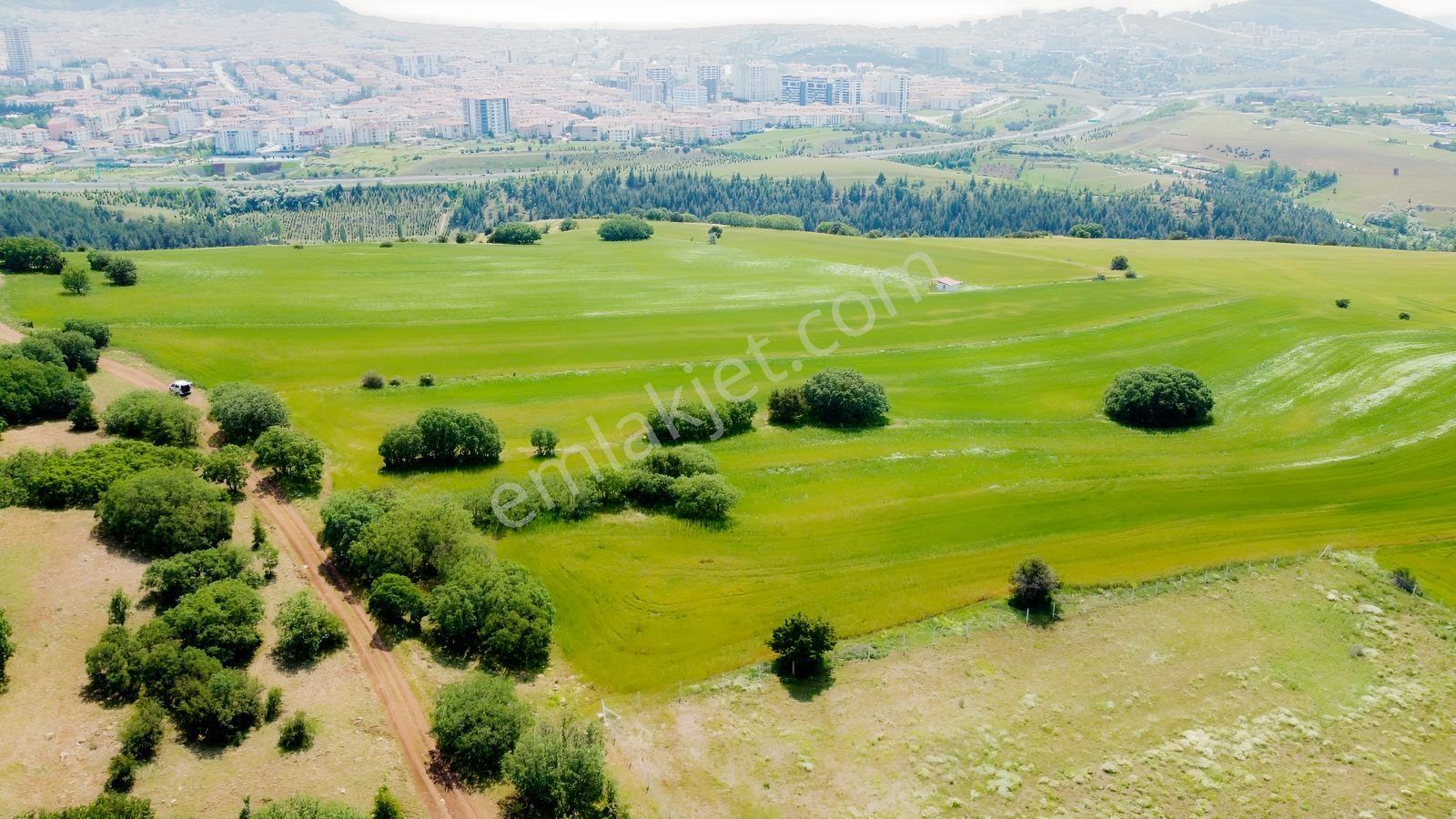***karapürçek Te Manzaralı Yol Kenarı Hisse Tapulu Bahçe*** — fotoğraf 18
