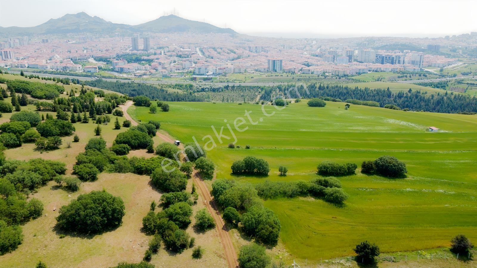 ***karapürçek Te Manzaralı Yol Kenarı Hisse Tapulu Bahçe*** — fotoğraf 19