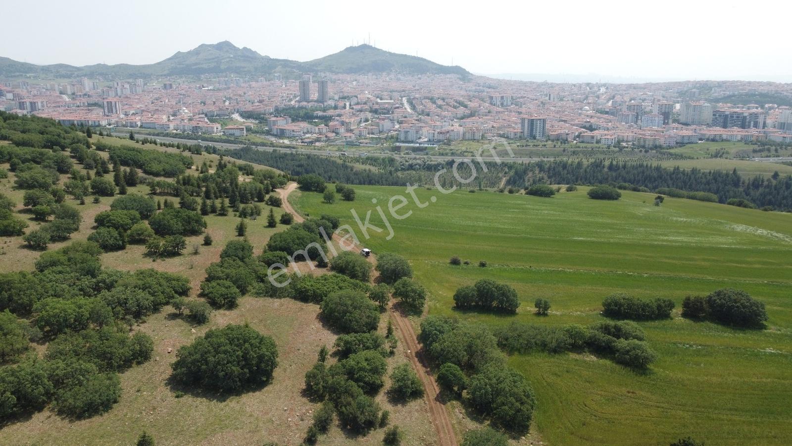 ***karapürçek Te Manzaralı Yol Kenarı Hisse Tapulu Bahçe*** — fotoğraf 20