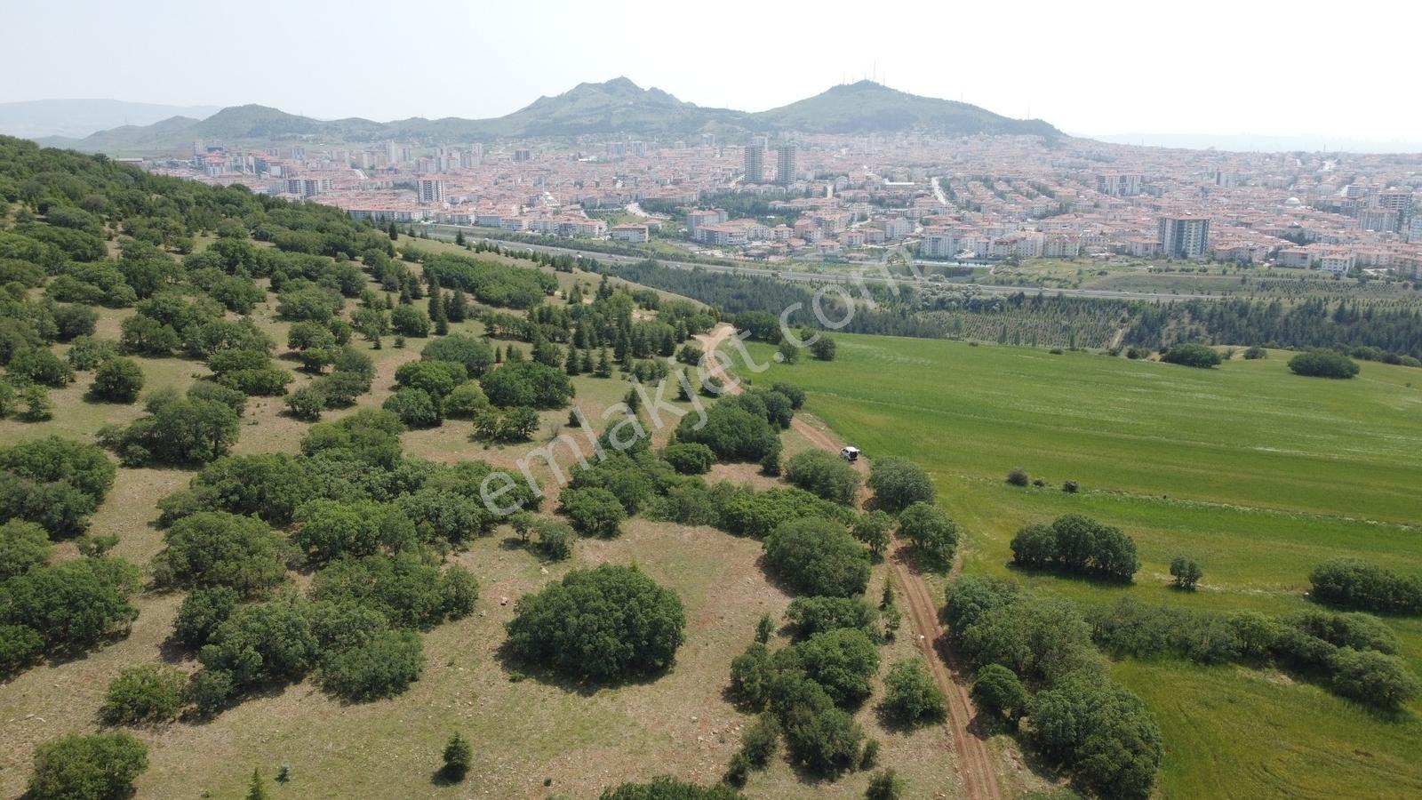 ***karapürçek Te Manzaralı Yol Kenarı Hisse Tapulu Bahçe*** — fotoğraf 21