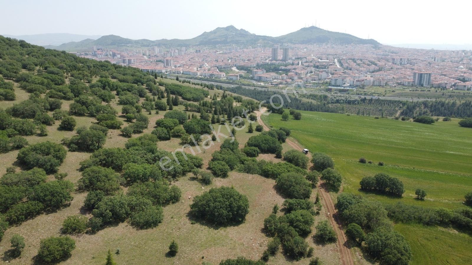 ***karapürçek Te Manzaralı Yol Kenarı Hisse Tapulu Bahçe*** — fotoğraf 22
