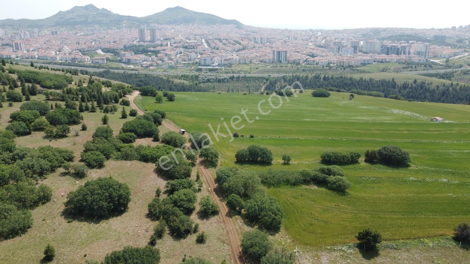 ***karapürçek Te Manzaralı Yol Kenarı Hisse Tapulu Bahçe*** — fotoğraf 23