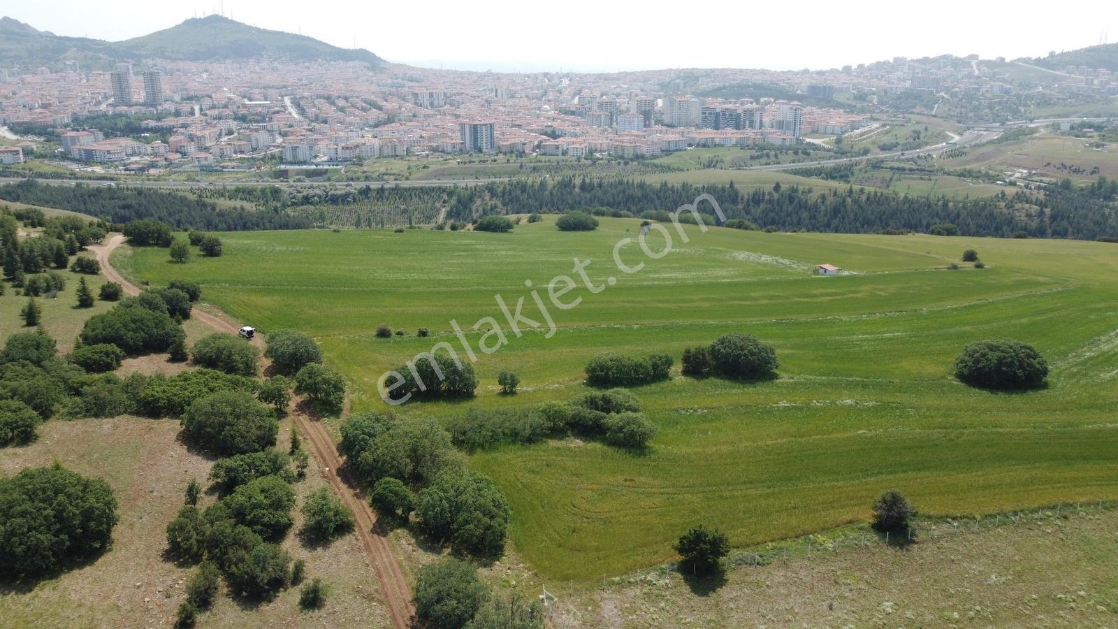 ***karapürçek Te Manzaralı Yol Kenarı Hisse Tapulu Bahçe*** — fotoğraf 24