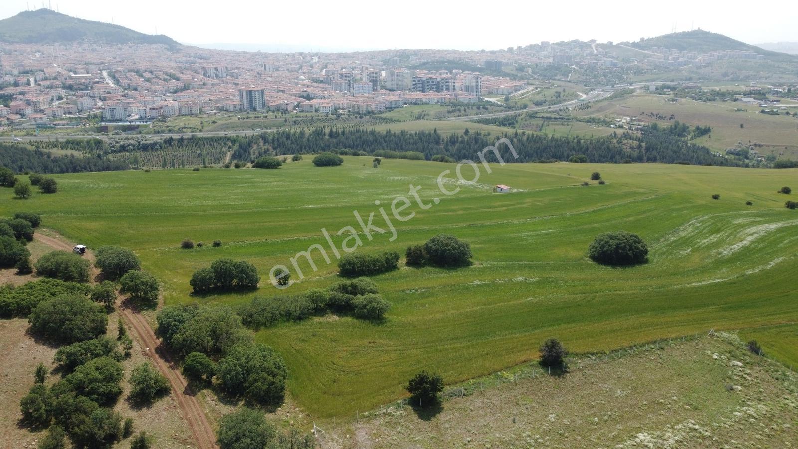 ***karapürçek Te Manzaralı Yol Kenarı Hisse Tapulu Bahçe*** — fotoğraf 25