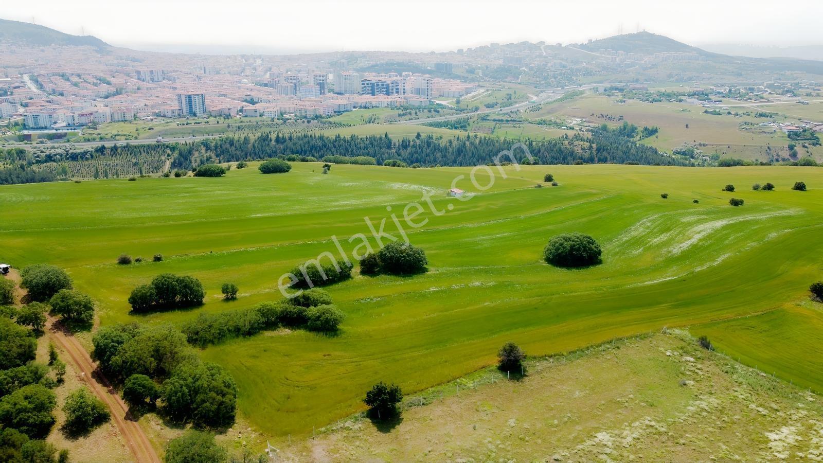 ***karapürçek Te Manzaralı Yol Kenarı Hisse Tapulu Bahçe*** — fotoğraf 26