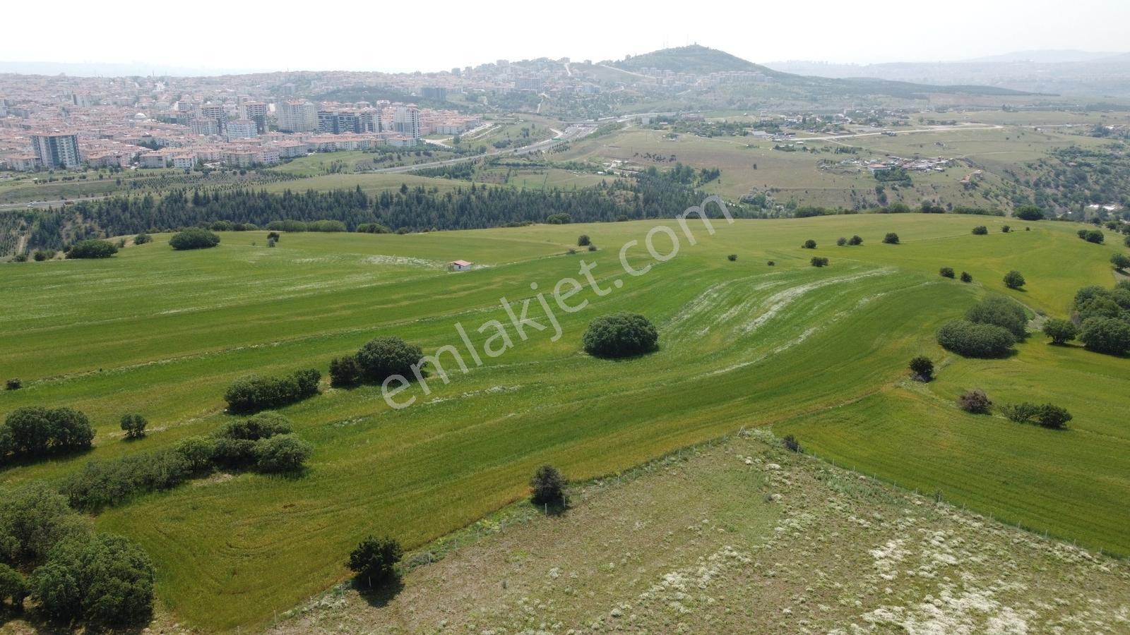 ***karapürçek Te Manzaralı Yol Kenarı Hisse Tapulu Bahçe*** — fotoğraf 27