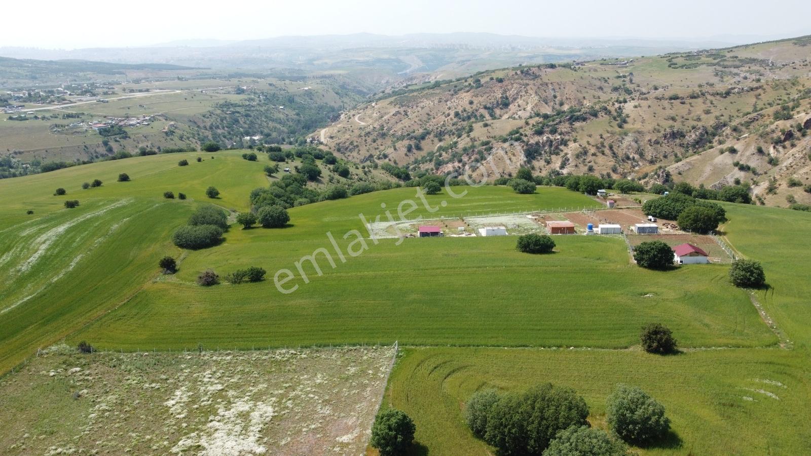 ***karapürçek Te Manzaralı Yol Kenarı Hisse Tapulu Bahçe*** — fotoğraf 28