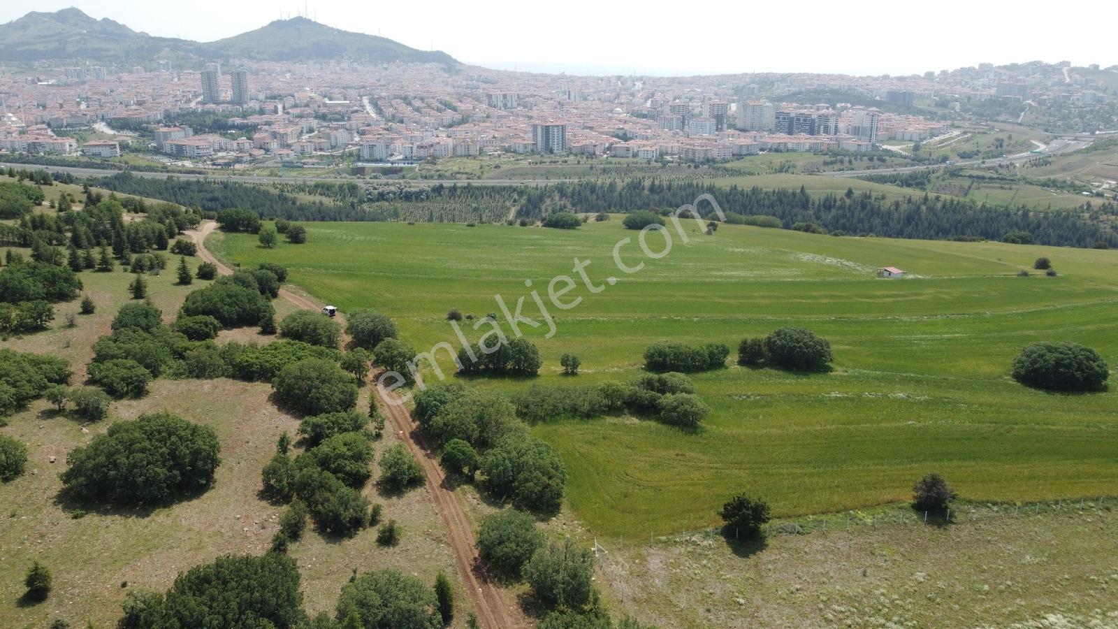 ***karapürçek Te Manzaralı Yol Kenarı Hisse Tapulu Bahçe*** — fotoğraf 29