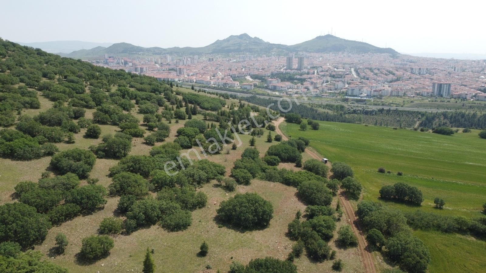 ***karapürçek Te Manzaralı Yol Kenarı Hisse Tapulu Bahçe*** — fotoğraf 30