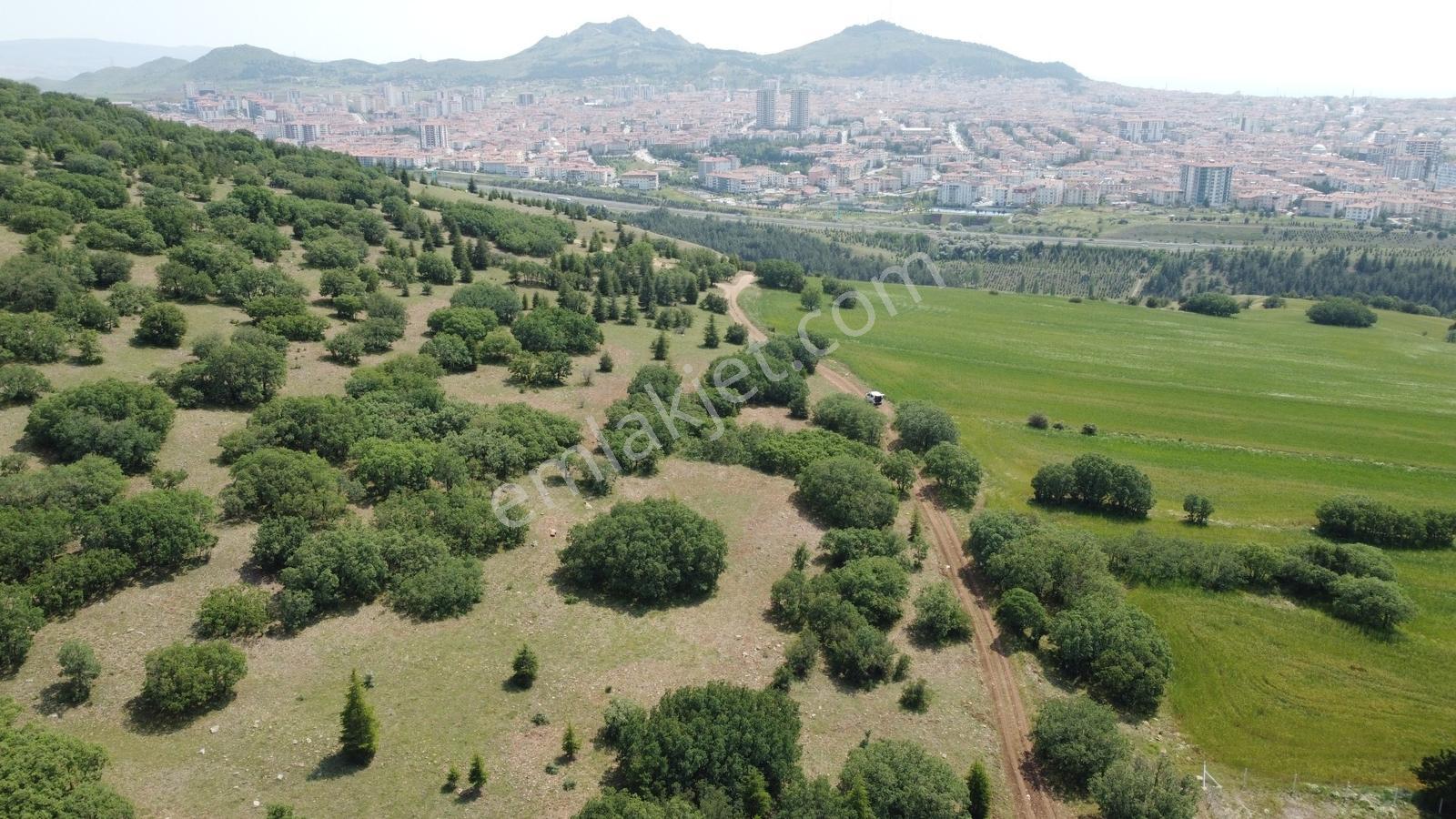 ***karapürçek Te Manzaralı Yol Kenarı Hisse Tapulu Bahçe*** — fotoğraf 31
