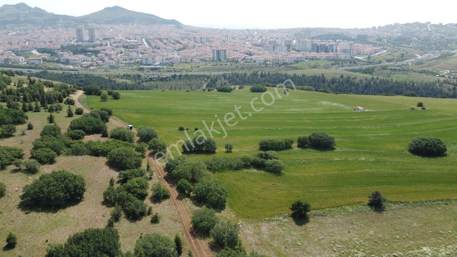 ***karapürçek Te Manzaralı Yol Kenarı Hisse Tapulu Bahçe*** — fotoğraf 32
