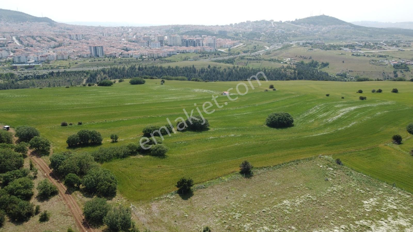 ***karapürçek Te Manzaralı Yol Kenarı Hisse Tapulu Bahçe*** — fotoğraf 33