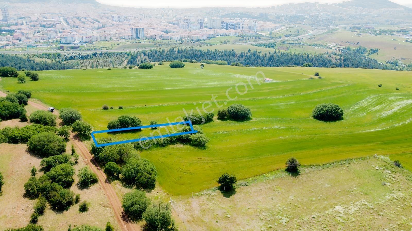 ***karapürçek Te Manzaralı Yol Kenarı Hisse Tapulu Bahçe*** — fotoğraf 34