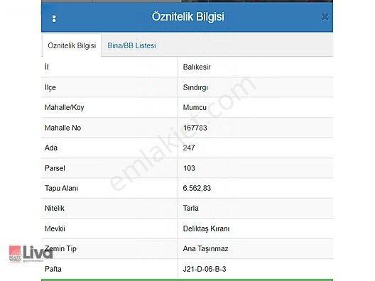Rw Liva'dan Sındırgı Mumcu'da Satılık Tarla — fotoğraf 5