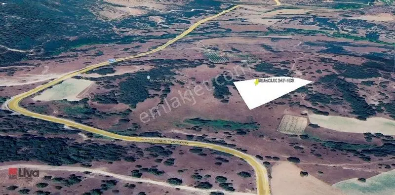 Rw Liva'dan Sındırgı Mumcu'da Satılık Tarla — fotoğraf 20