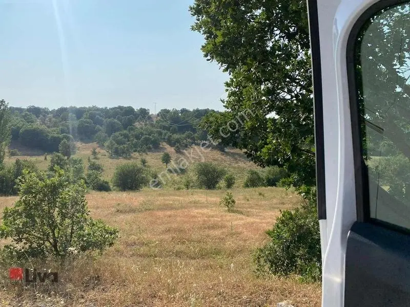 Rw Liva'dan Sındırgı Mumcu'da Satılık Tarla — fotoğraf 28