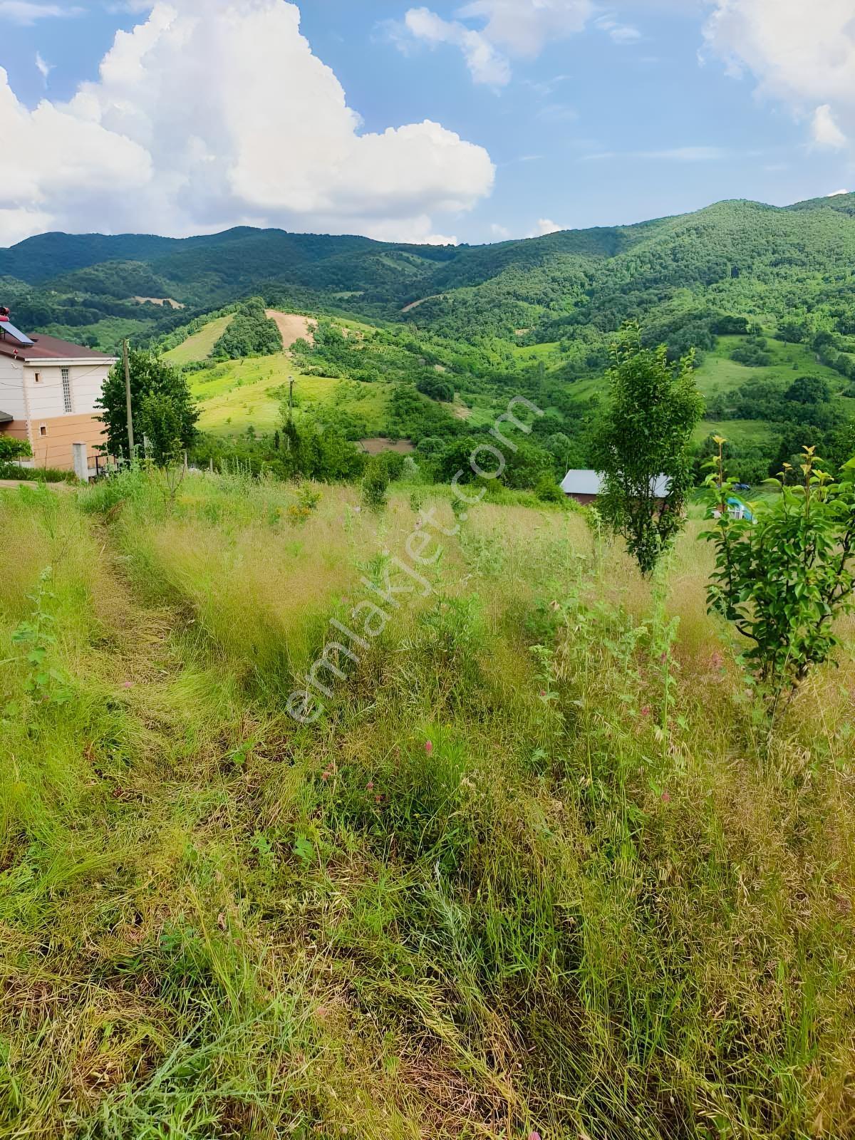 Yeni Yapılacak Gölcük Yalova Yol Güzergahına Yakın Tarla — fotoğraf 3