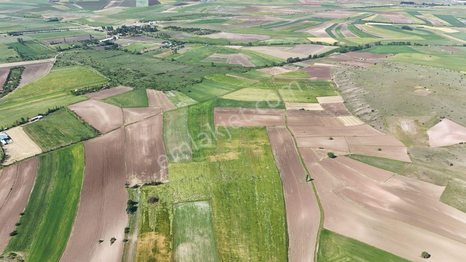 Eskişehirin En Gozde Koyu Mollaoglu Koyunde Satılık Tarlalar — fotoğraf 2